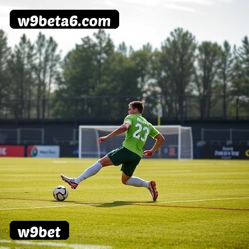 Requisitos do APK da w9bet para Android