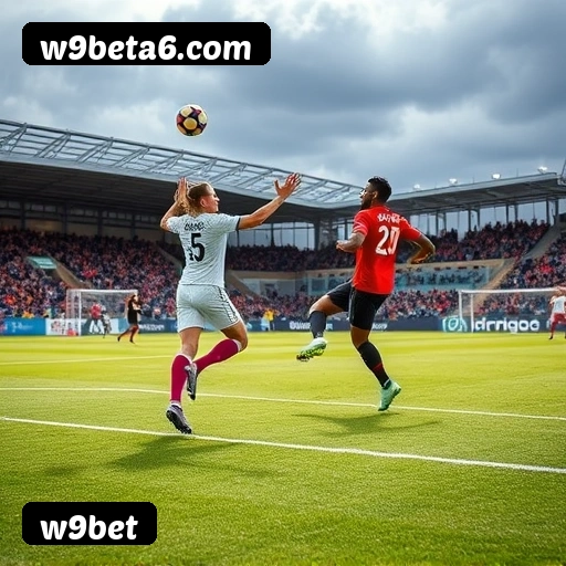 Níveis do programa VIP da w9bet